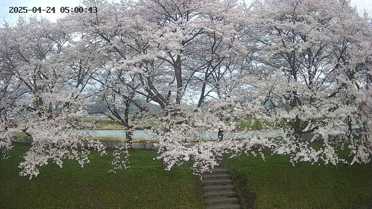 ochiai3-20250424050045.jpg