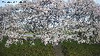 ochiai3-20250424054046.jpg