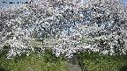 ochiai3-20250424070044.jpg