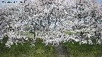 ochiai3-20250424085048.jpg