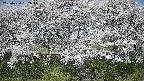 ochiai3-20250424092047.jpg