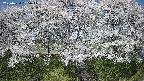 ochiai3-20250424095047.jpg