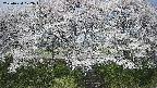 ochiai3-20250424102045.jpg