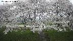 ochiai3-20250424113048.jpg