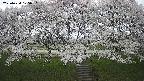 ochiai3-20250424125052.jpg