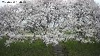 ochiai3-20250424134048.jpg