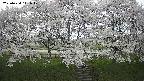 ochiai3-20250424141050.jpg