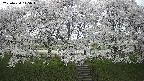 ochiai3-20250424145044.jpg