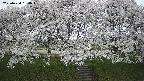 ochiai3-20250424154045.jpg