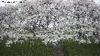 ochiai3-20250424155044.jpg