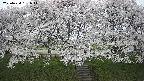 ochiai3-20250424161045.jpg