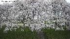 ochiai3-20250424175045.jpg