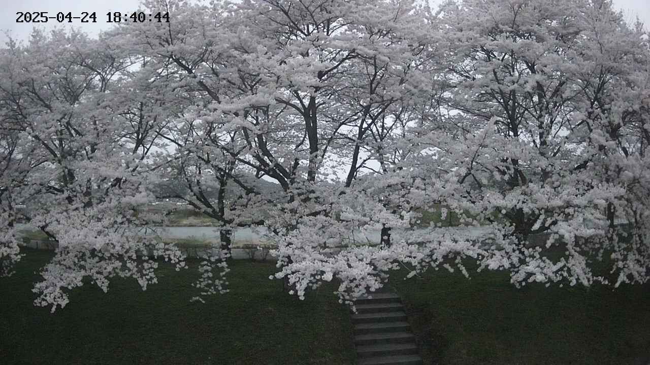 ochiai3-20250424184045.jpg