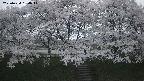 ochiai3-20250424184045.jpg