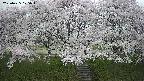 ochiai3-20250425175045.jpg