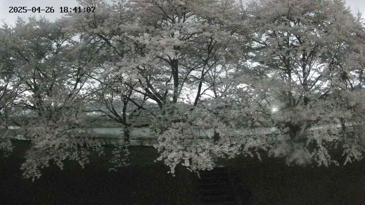 ochiai3-20250426184124.jpg