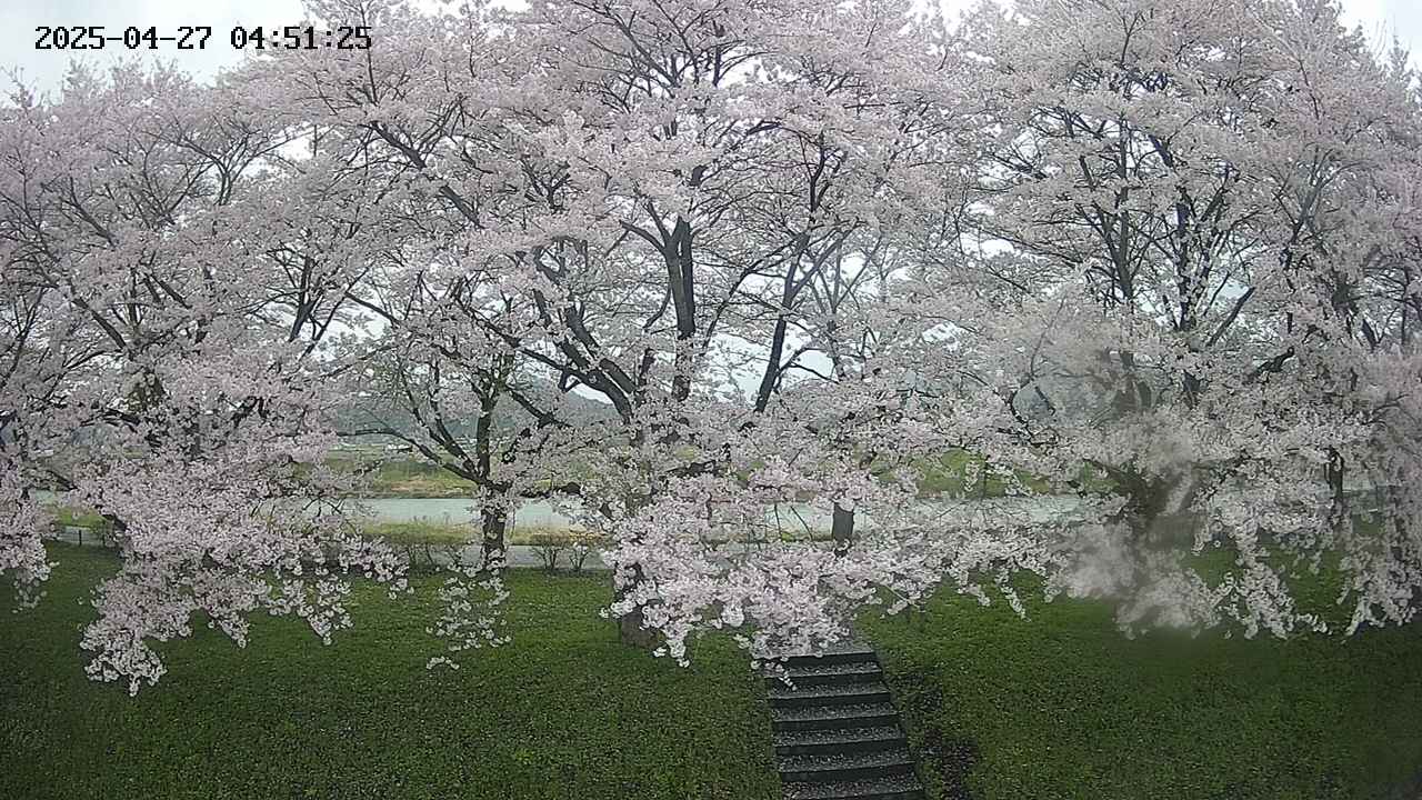 ochiai3-20250427045152.jpg