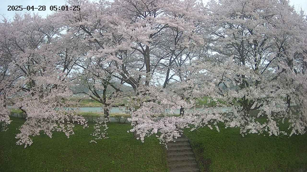 ochiai3-20250428050148.jpg