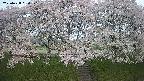 ochiai3-20250428050148.jpg