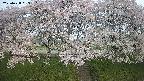 ochiai3-20250428053155.jpg