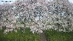 ochiai3-20250428061148.jpg