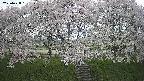 ochiai3-20250428181151.jpg