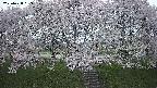 ochiai3-20250428183200.jpg
