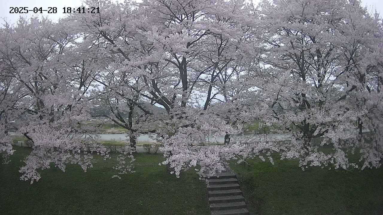 ochiai3-20250428184144.jpg