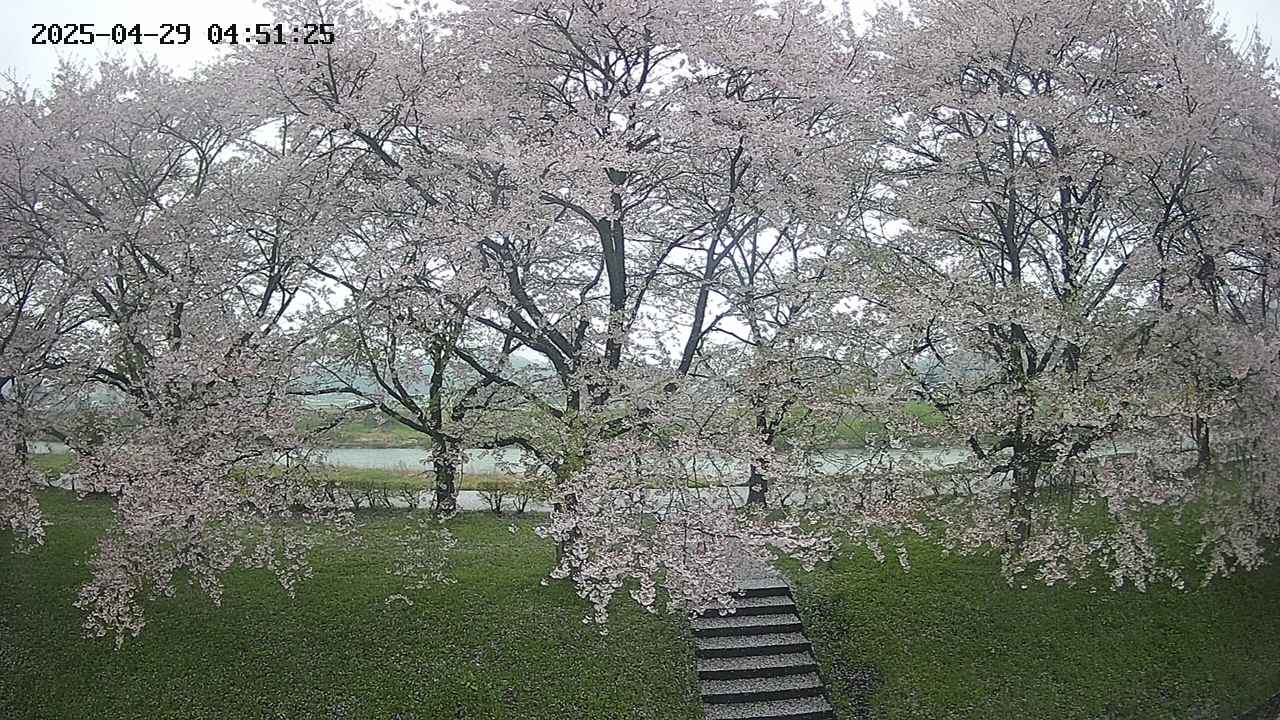 ochiai3-20250429045149.jpg