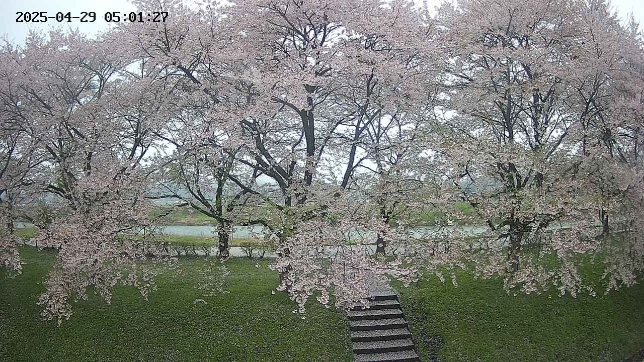 ochiai3-20250429050158.jpg