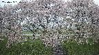 ochiai3-20250429050158.jpg