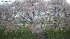 ochiai3-20250429051202.jpg