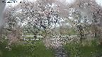 ochiai3-20250429084141.jpg