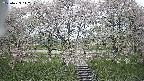 ochiai3-20250429112151.jpg