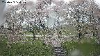 ochiai3-20250429120151.jpg