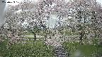 ochiai3-20250429121147.jpg