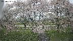 ochiai3-20250429122153.jpg