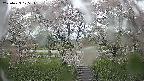 ochiai3-20250429125142.jpg
