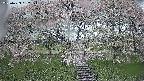 ochiai3-20250429132146.jpg
