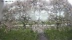 ochiai3-20250429141142.jpg