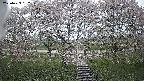 ochiai3-20250429182147.jpg