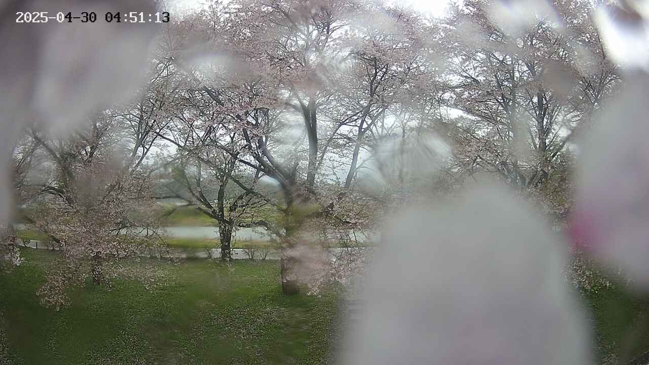 ochiai3-20250430045127.jpg