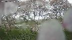 ochiai3-20250430080137.jpg