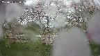 ochiai3-20250430100126.jpg