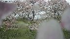 ochiai3-20250430102137.jpg
