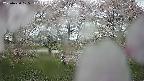 ochiai3-20250430105134.jpg