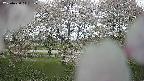 ochiai3-20250430111145.jpg