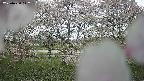 ochiai3-20250430112152.jpg