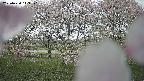 ochiai3-20250430113139.jpg