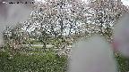 ochiai3-20250430120144.jpg